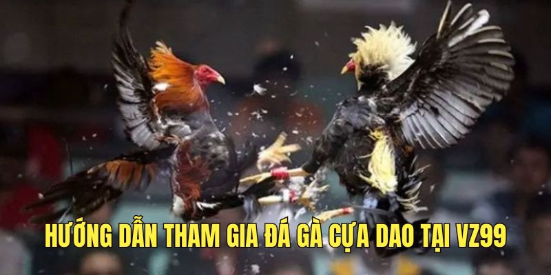 Cách tham gia đá gà cựa dao tại nhà cái
