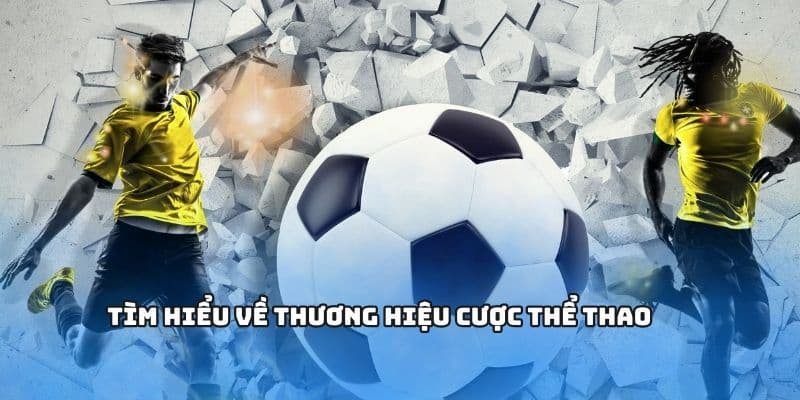 Đôi nét về thể thao VZ99